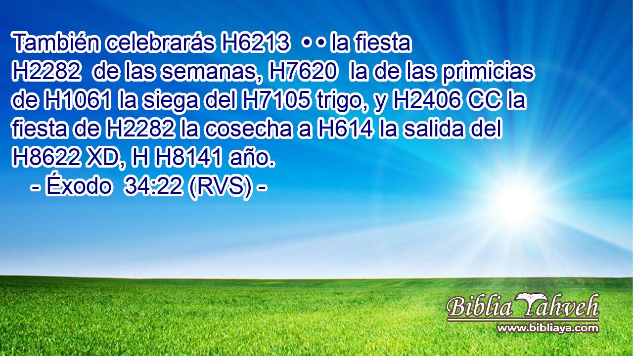 También celebrarás H6213  • • la fiesta H2282  de las semanas, H7620  la de las primicias de H1061 la siega del H7105 trigo, y H2406 CC la fiesta de H2282 la cosecha a H614 la salida del H8622 XD, H H8141 año. 