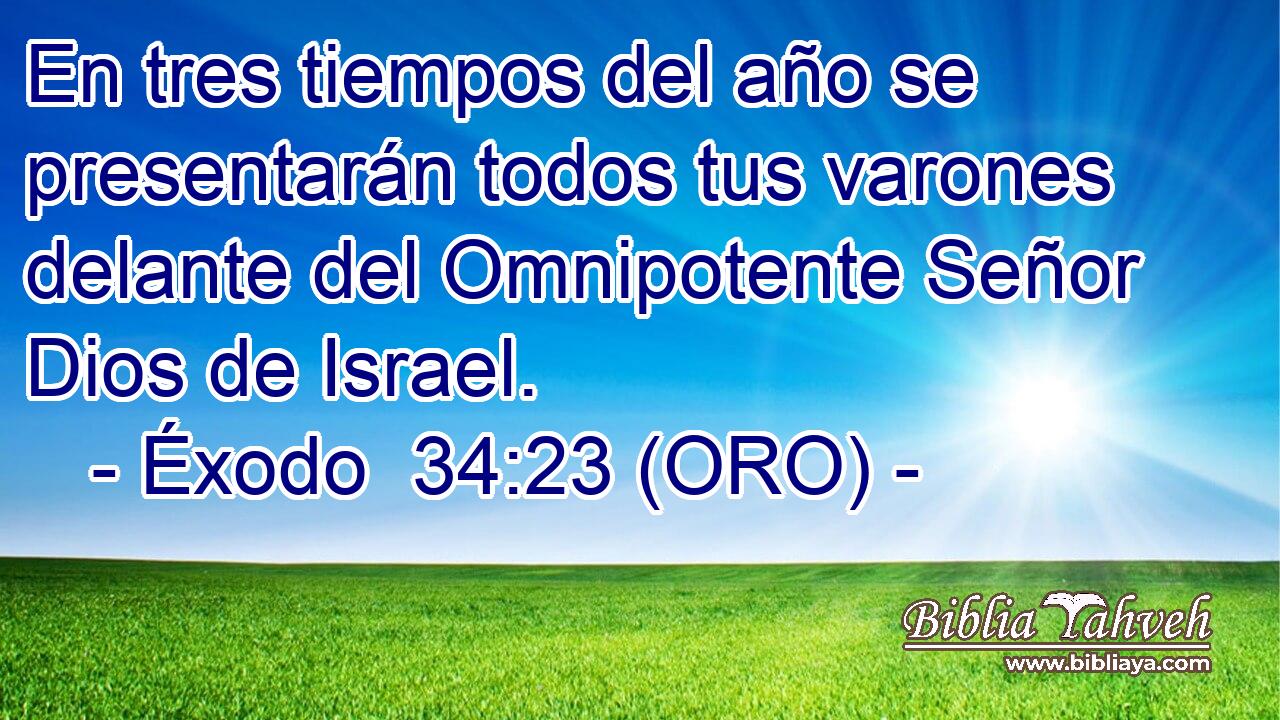  En tres tiempos del año se presentarán todos tus varones delante del Omnipotente Señor Dios de Israel. 
