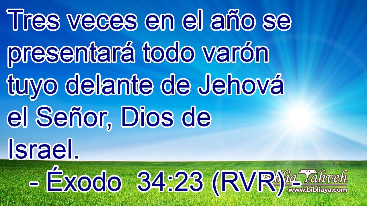 Tres veces en el año se presentará todo varón tuyo delante de Jehová el Señor, Dios de Israel.