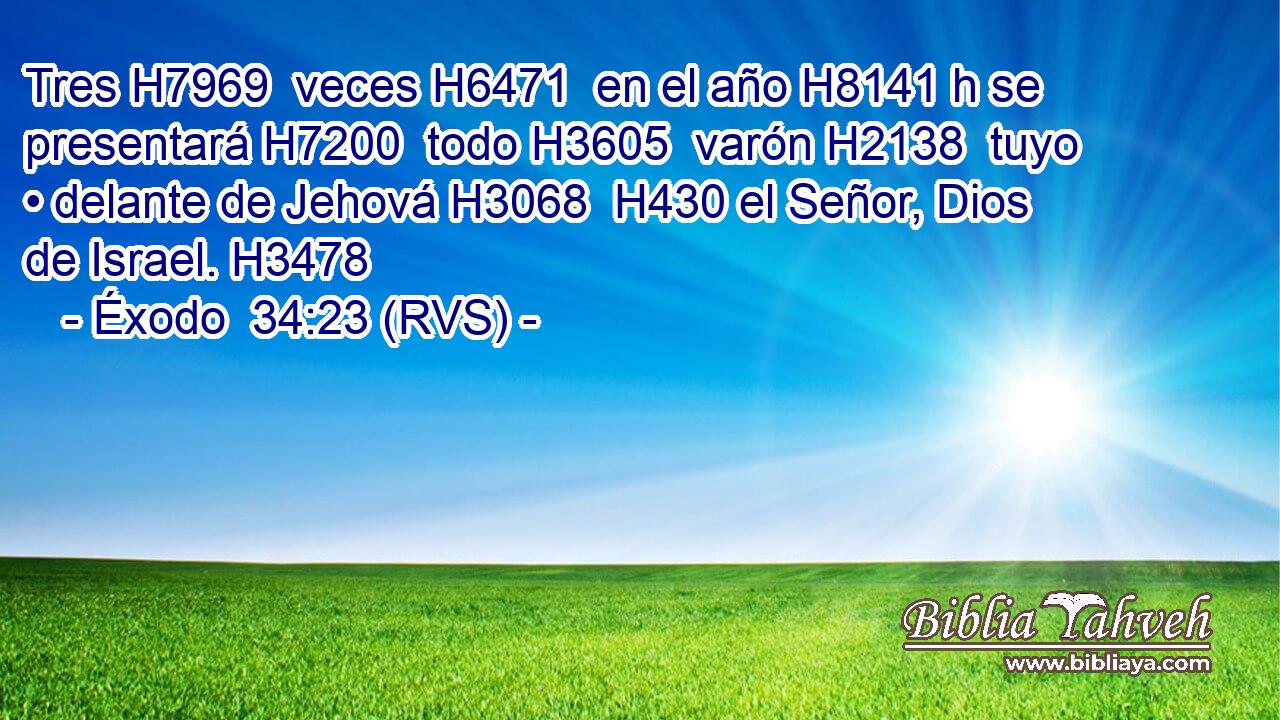 Tres H7969  veces H6471  en el año H8141 h se presentará H7200  todo H3605  varón H2138  tuyo • delante de Jehová H3068  H430 el Señor, Dios de Israel. H3478  