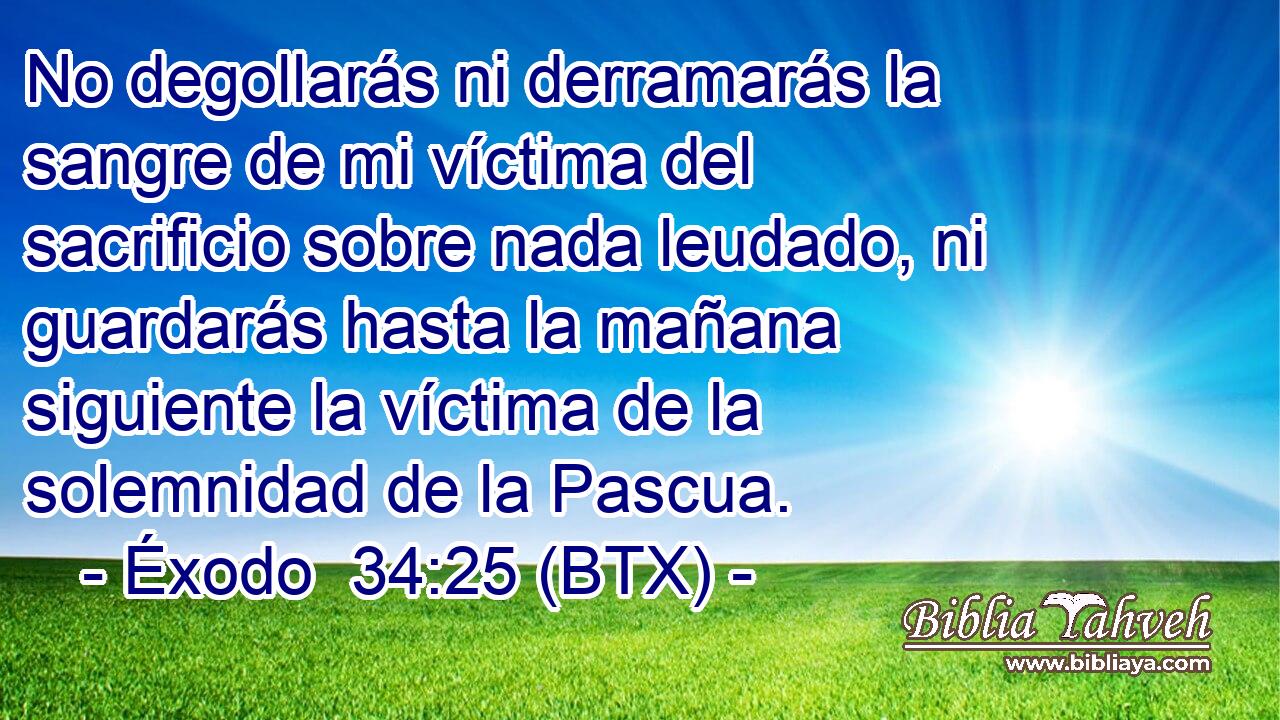 No degollarás ni derramarás la sangre de mi víctima del sacrificio sobre nada leudado, ni guardarás hasta la mañana siguiente la víctima de la solemnidad de la Pascua.