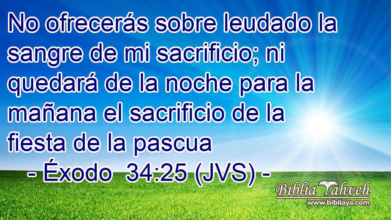 No ofrecerás sobre leudado la sangre de mi sacrificio; ni quedará de la noche para la mañana el sacrificio de la fiesta de la pascua