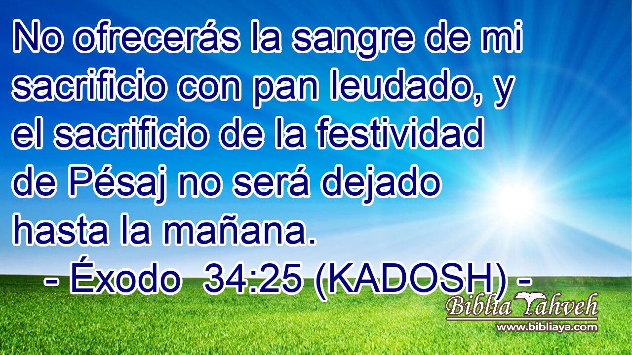  No ofrecerás la sangre de mi sacrificio con pan leudado, y el sacrificio de la festividad de Pésaj no será dejado hasta la mañana. 