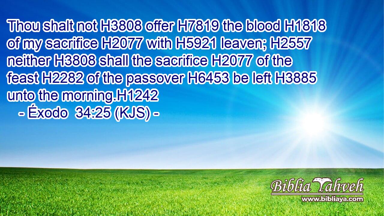 Thou shalt not H3808 offer H7819 the blood H1818 of my sacrifice H2077 with H5921 leaven; H2557 neither H3808 shall the sacrifice H2077 of the feast H2282 of the passover H6453 be left H3885 unto the morning.H1242