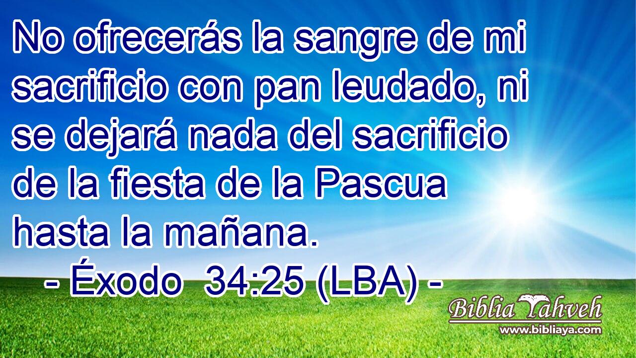 No ofrecerás la sangre de mi sacrificio con pan leudado, ni se dejará nada del sacrificio de la fiesta de la Pascua hasta la mañana.