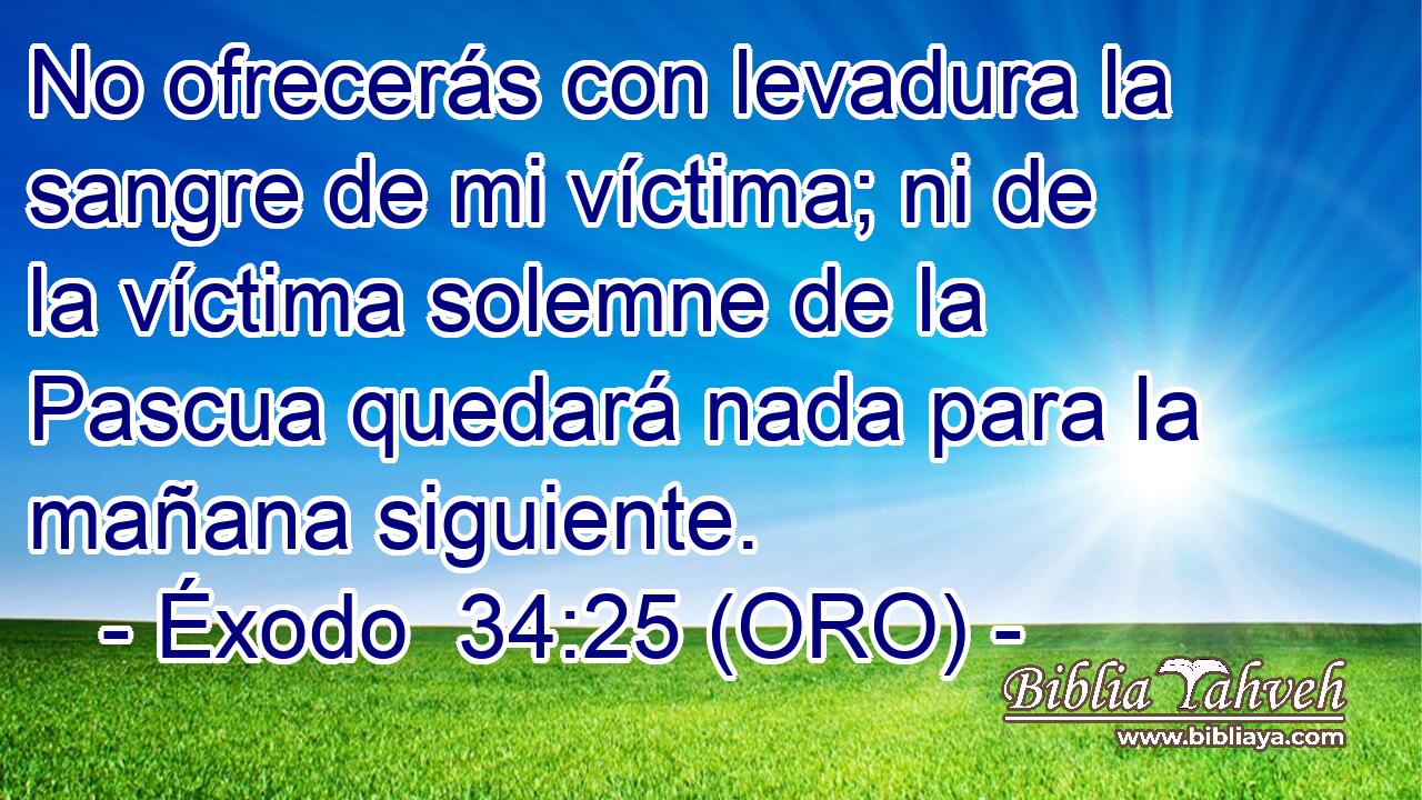 No ofrecerás con levadura la sangre de mi víctima; ni de la víctima solemne de la Pascua quedará nada para la mañana siguiente. 
