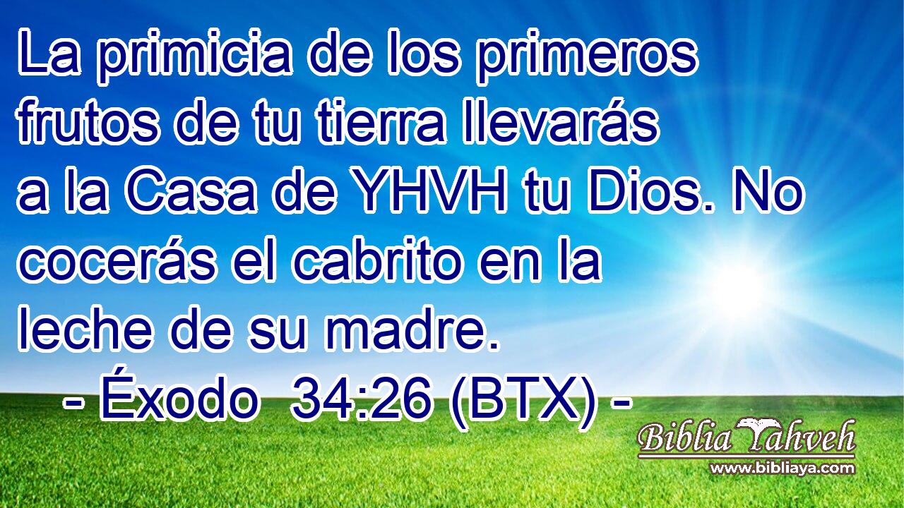 La primicia de los primeros frutos de tu tierra llevarás a la Casa de YHVH tu Dios. No cocerás el cabrito en la leche de su madre.