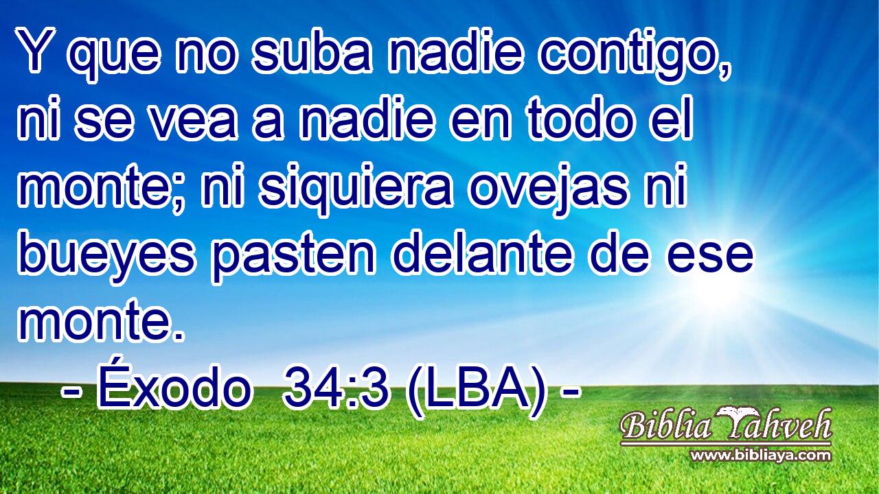 Y que no suba nadie contigo, ni se vea a nadie en todo el monte; ni siquiera ovejas ni bueyes pasten delante de ese monte.