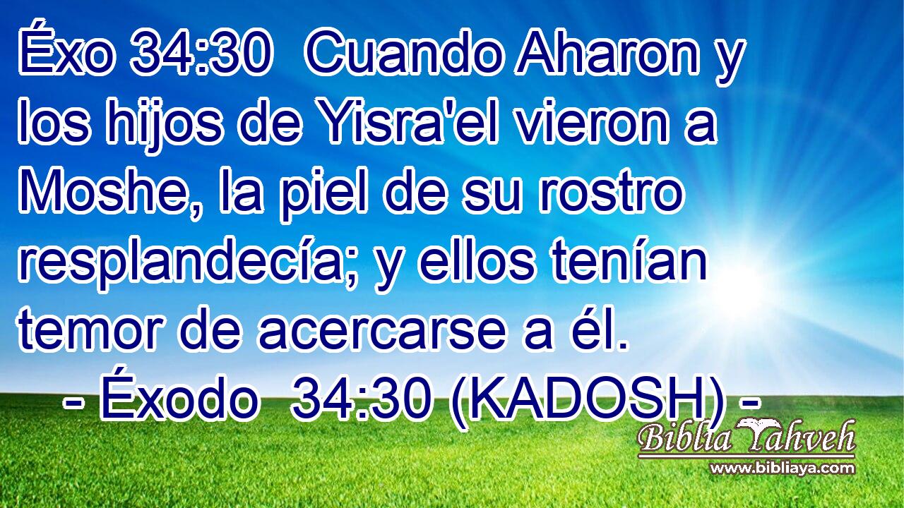  Cuando Aharon y los hijos de Yisra'el vieron a Moshe, la piel de su rostro resplandecía; y ellos tenían temor de acercarse a él. 