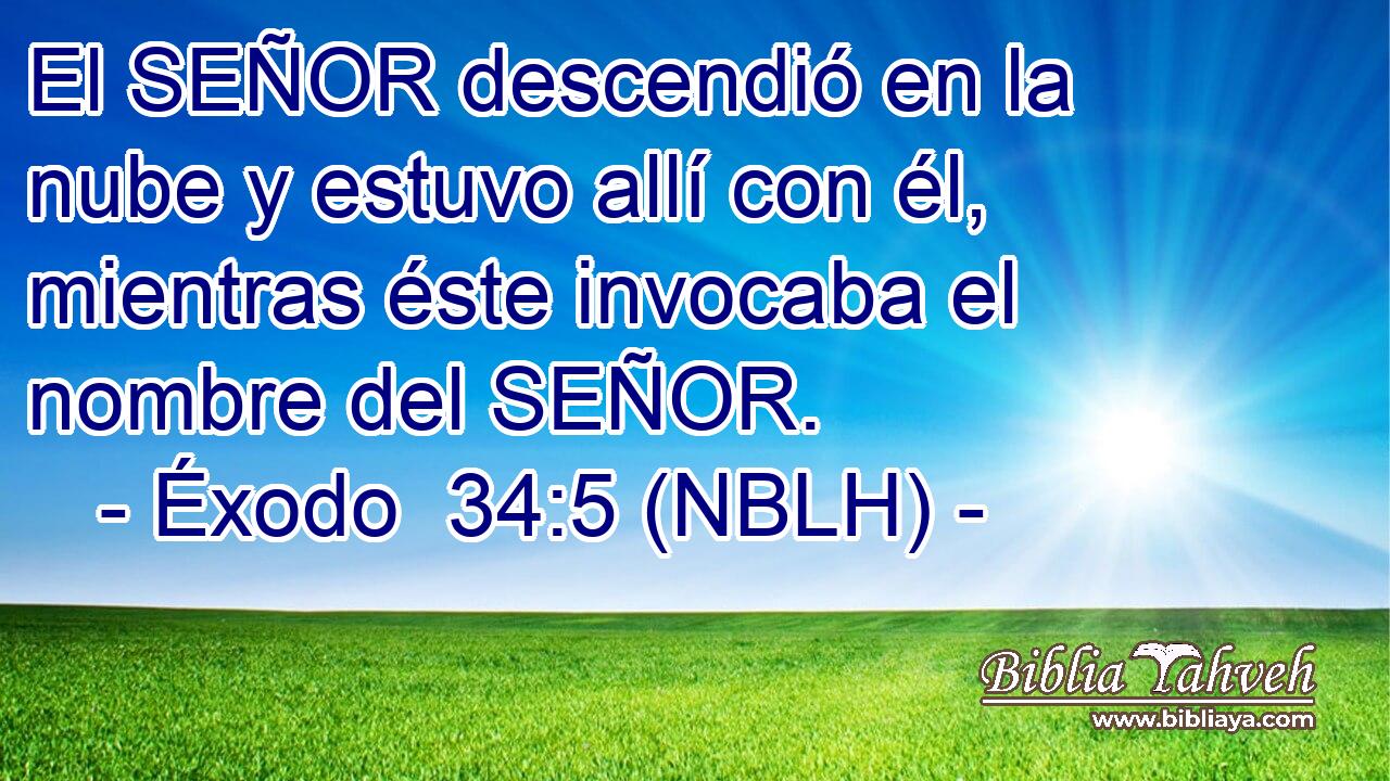  El SEÑOR descendió en la nube y estuvo allí con él, mientras éste invocaba el nombre del SEÑOR. 