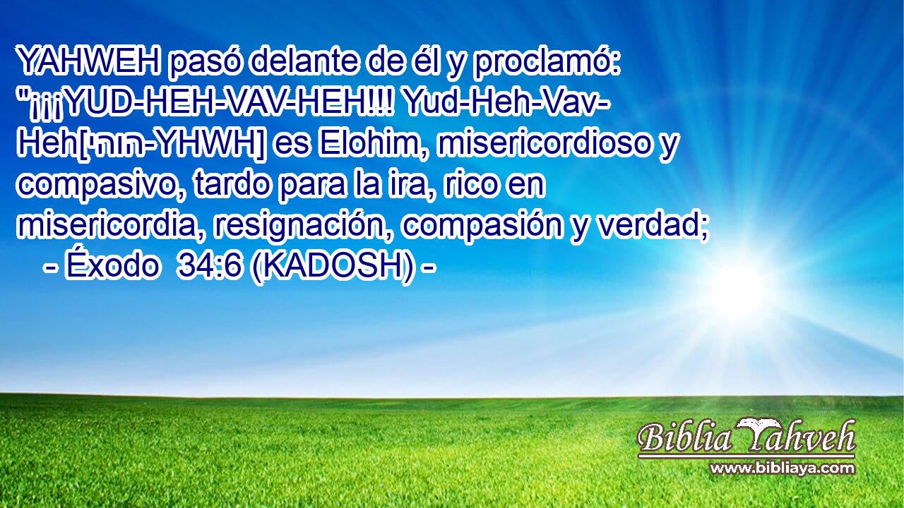  YAHWEH pasó delante de él y proclamó: 