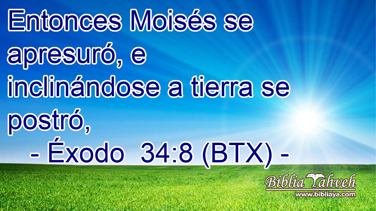 Entonces Moisés se apresuró, e inclinándose a tierra se postró,