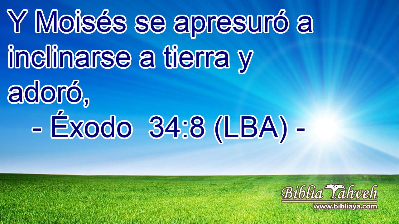Y Moisés se apresuró a inclinarse a tierra y adoró,