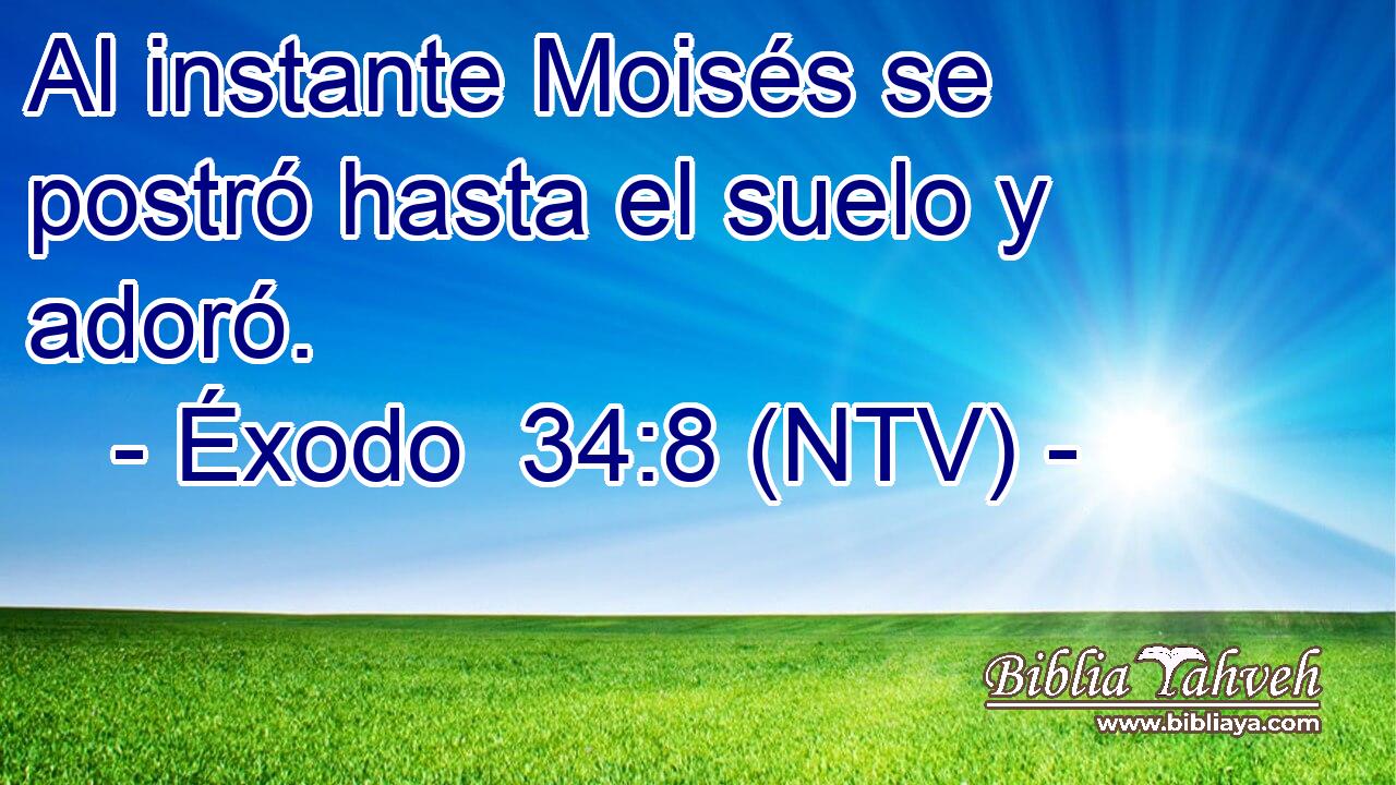 Al instante Moisés se postró hasta el suelo y adoró.