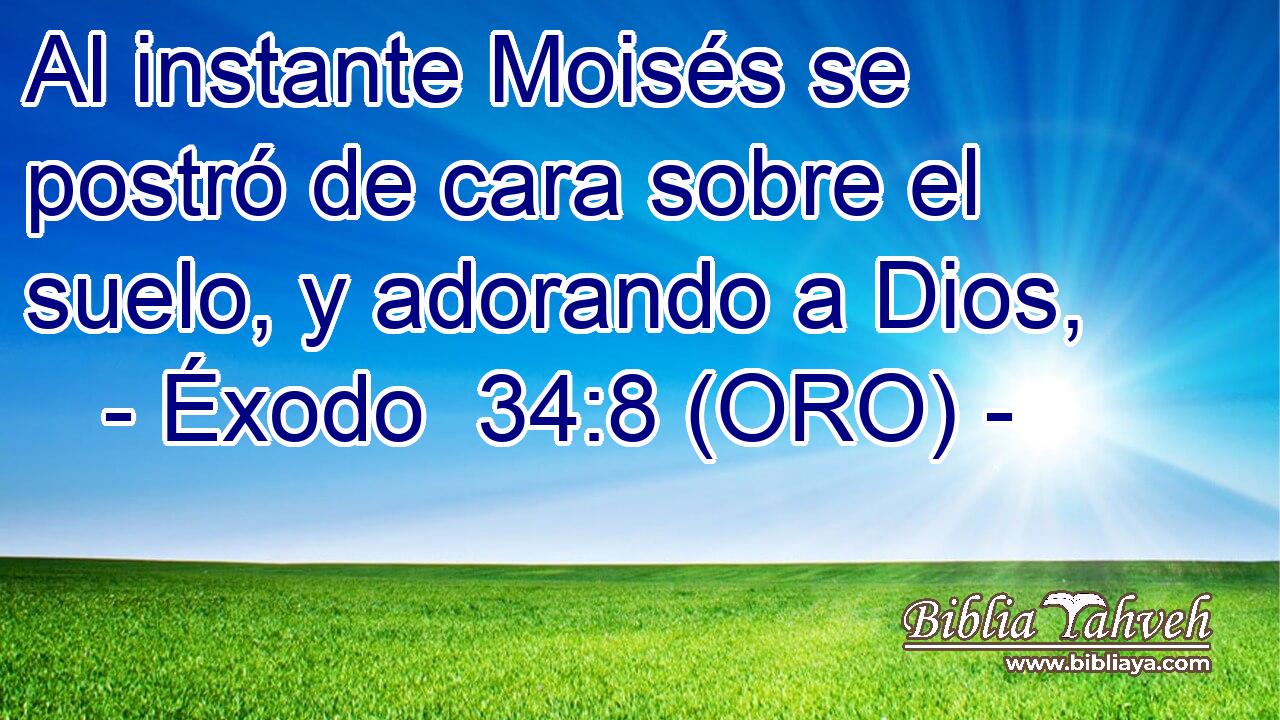  Al instante Moisés se postró de cara sobre el suelo, y adorando a Dios, 