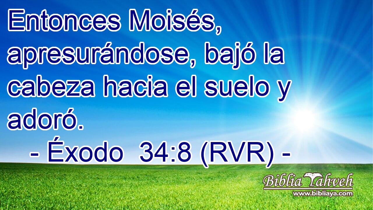 Entonces Moisés, apresurándose, bajó la cabeza hacia el suelo y adoró.
