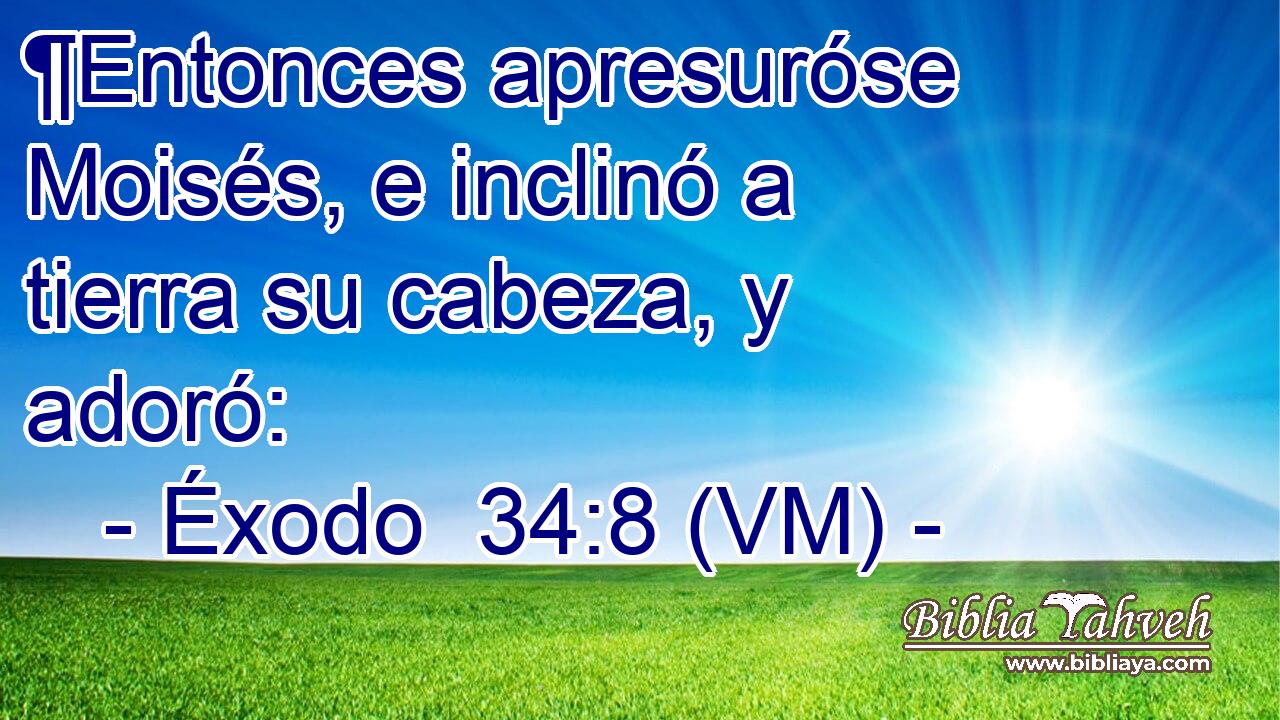  ¶Entonces apresuróse Moisés, e inclinó a tierra su cabeza, y adoró: 