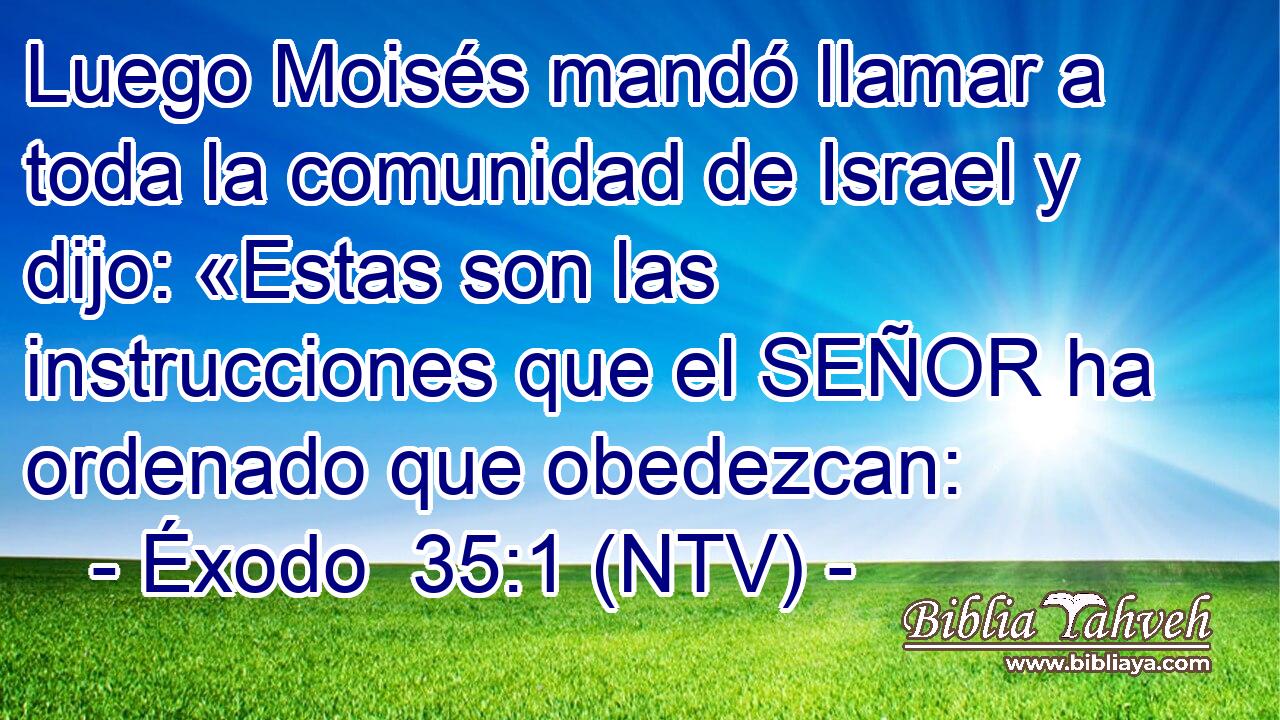 Luego Moisés mandó llamar a toda la comunidad de Israel y dijo: «Estas son las instrucciones que el SEÑOR ha ordenado que obedezcan: