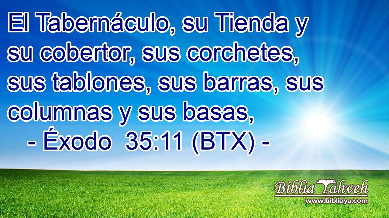 El Tabernáculo, su Tienda y su cobertor, sus corchetes, sus tablones, sus barras, sus columnas y sus basas,