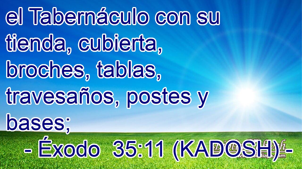  el Tabernáculo con su tienda, cubierta, broches, tablas, travesaños, postes y bases; 