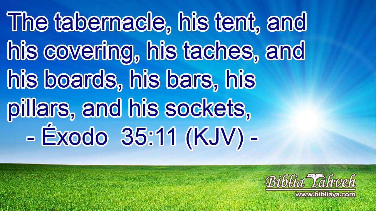 The tabernacle, his tent, and his covering, his taches, and his boards, his bars, his pillars, and his sockets,
