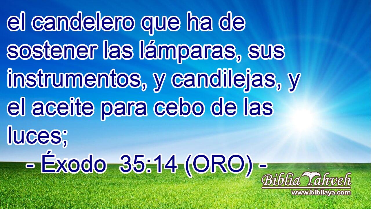  el candelero que ha de sostener las lámparas, sus instrumentos, y candilejas, y el aceite para cebo de las luces; 