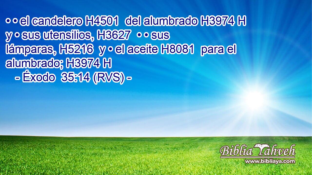 • • el candelero H4501  del alumbrado H3974 H y • sus utensilios, H3627  • • sus lámparas, H5216  y • el aceite H8081  para el alumbrado; H3974 H 