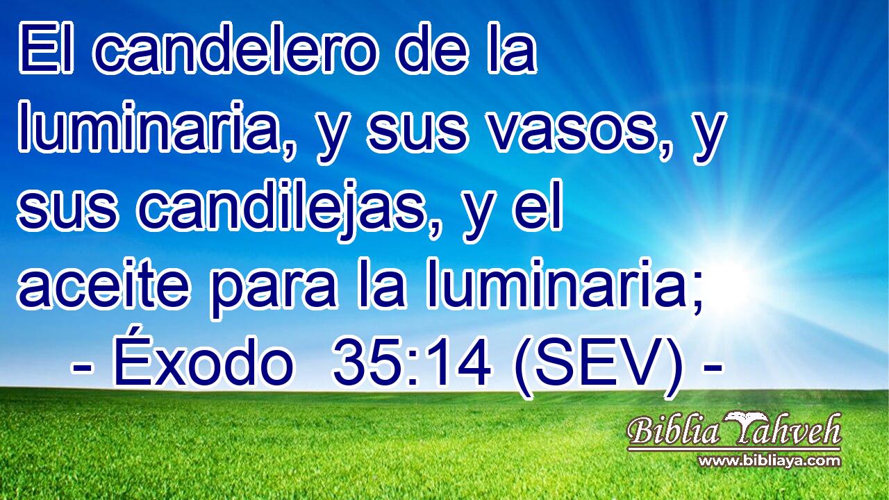 El candelero de la luminaria, y sus vasos, y sus candilejas, y el aceite para la luminaria;