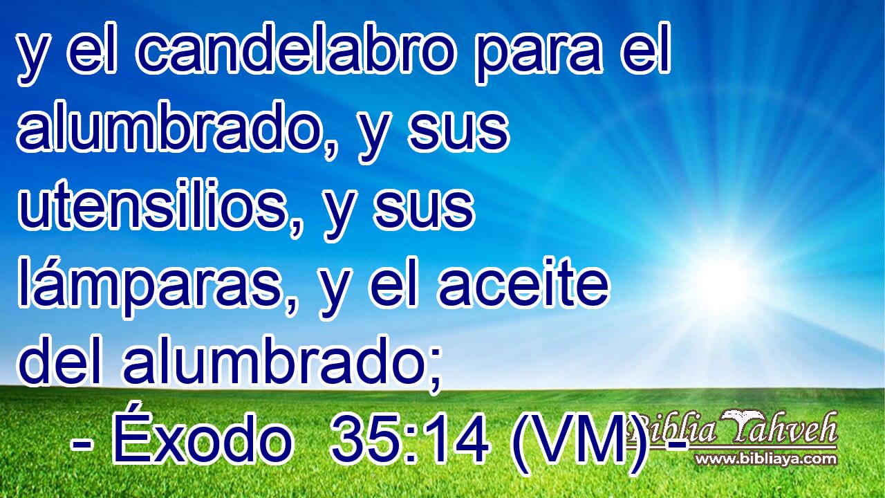  y el candelabro para el alumbrado, y sus utensilios, y sus lámparas, y el aceite del alumbrado; 