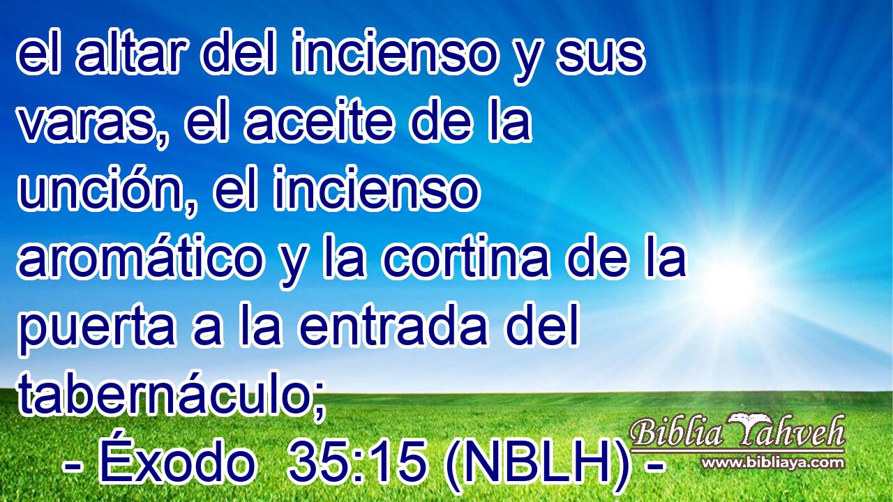  el altar del incienso y sus varas, el aceite de la unción, el incienso aromático y la cortina de la puerta a la entrada del tabernáculo; 