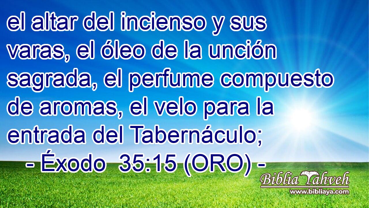  el altar del incienso y sus varas, el óleo de la unción sagrada, el perfume compuesto de aromas, el velo para la entrada del Tabernáculo; 