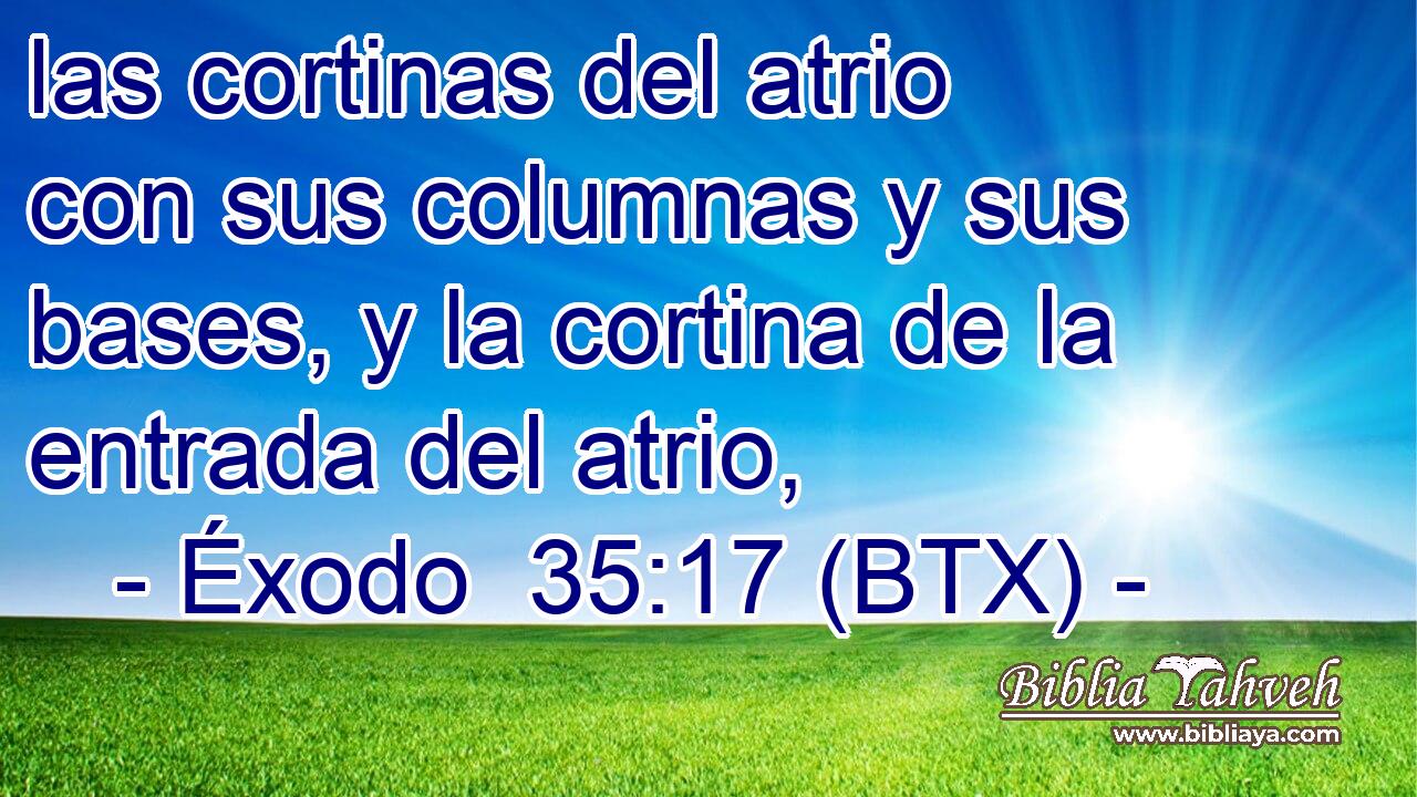 las cortinas del atrio con sus columnas y sus bases, y la cortina de la entrada del atrio,