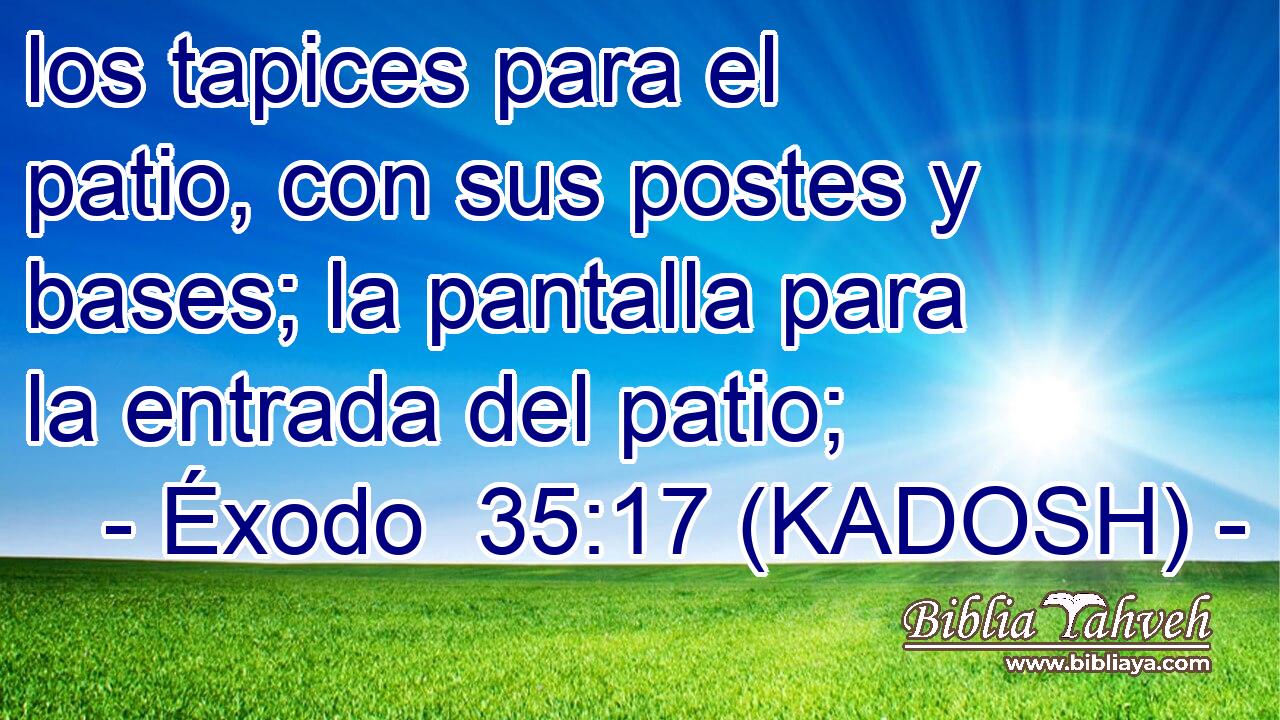  los tapices para el patio, con sus postes y bases; la pantalla para la entrada del patio; 
