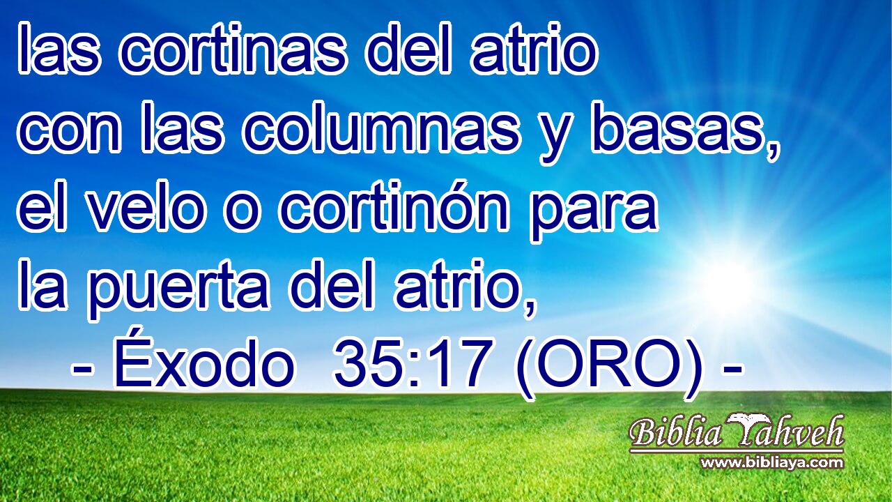  las cortinas del atrio con las columnas y basas, el velo o cortinón para la puerta del atrio, 