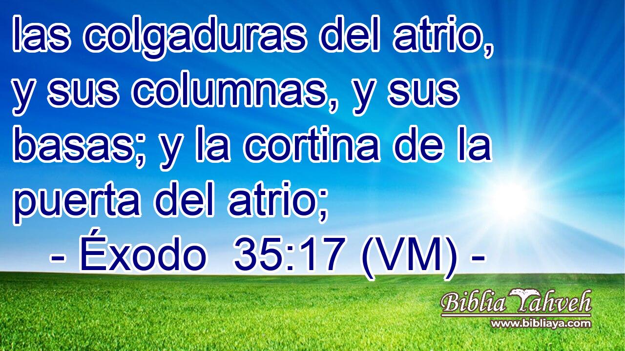  las colgaduras del atrio, y sus columnas, y sus basas; y la cortina de la puerta del atrio; 