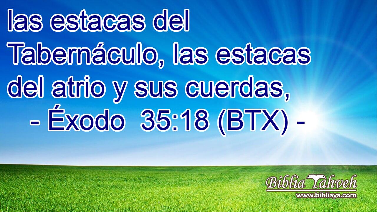 las estacas del Tabernáculo, las estacas del atrio y sus cuerdas,