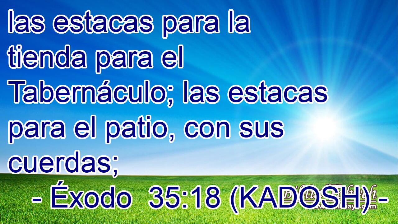  las estacas para la tienda para el Tabernáculo; las estacas para el patio, con sus cuerdas; 