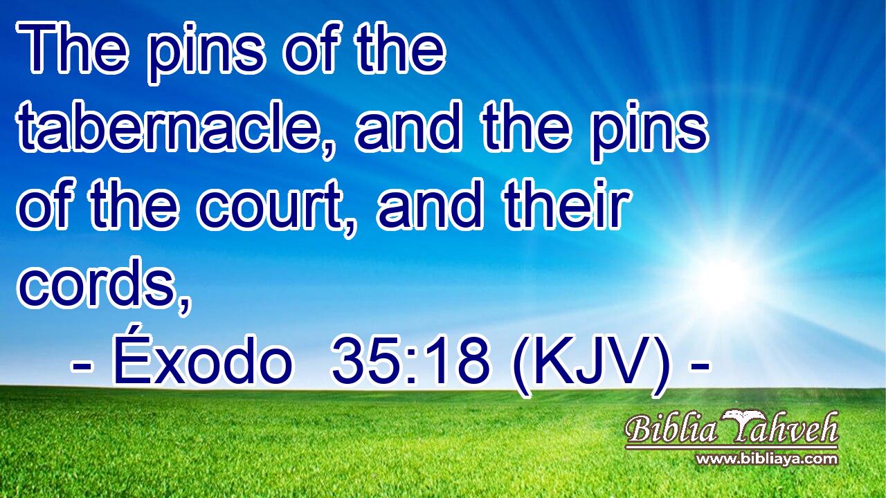 The pins of the tabernacle, and the pins of the court, and their cords,