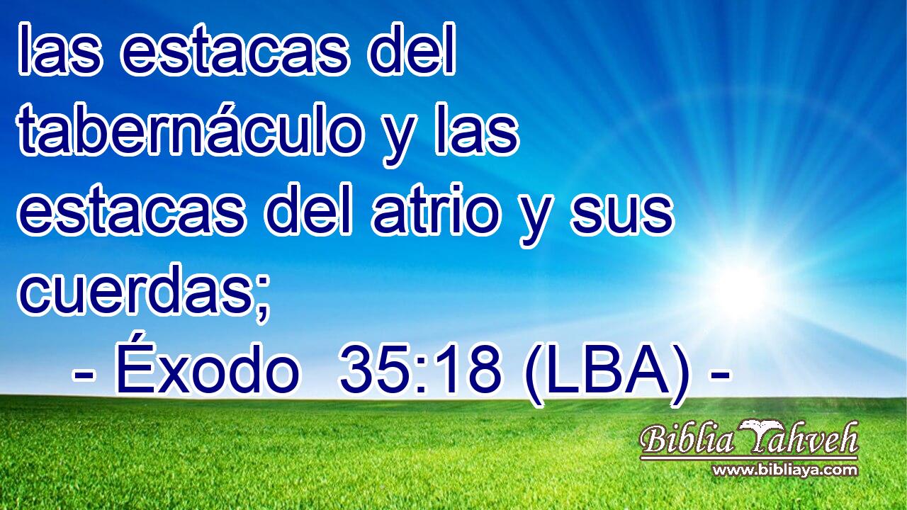 las estacas del tabernáculo y las estacas del atrio y sus cuerdas;