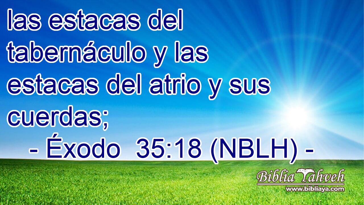  las estacas del tabernáculo y las estacas del atrio y sus cuerdas; 