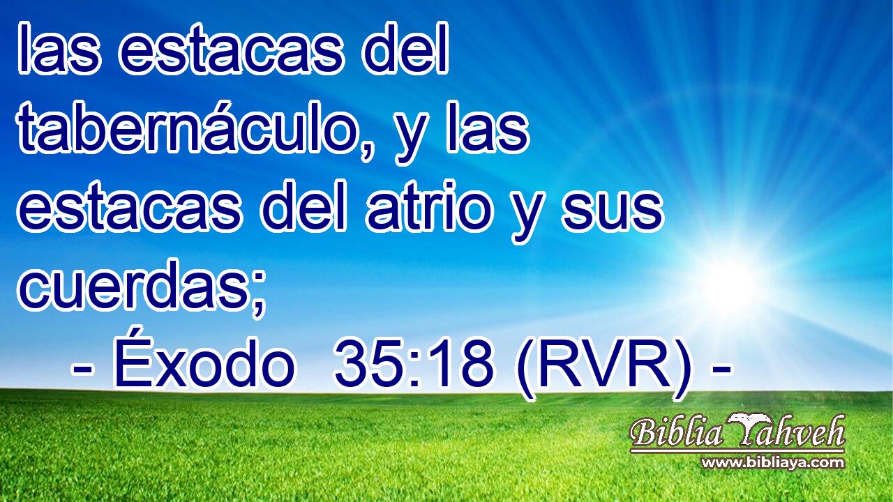 las estacas del tabernáculo, y las estacas del atrio y sus cuerdas;