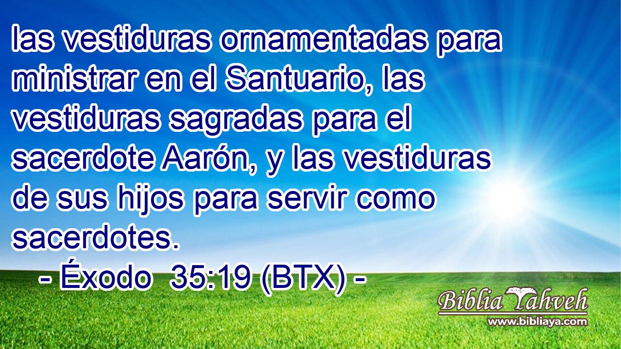 las vestiduras ornamentadas para ministrar en el Santuario, las vestiduras sagradas para el sacerdote Aarón, y las vestiduras de sus hijos para servir como sacerdotes.