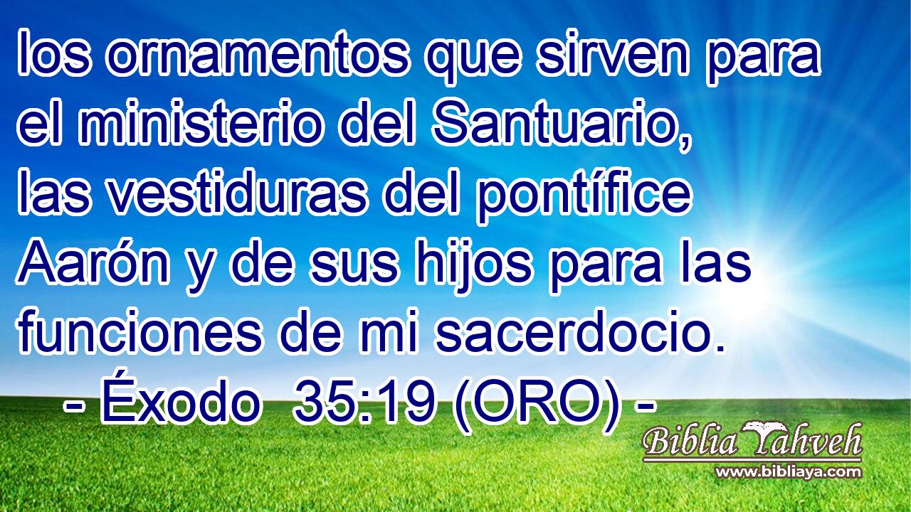  los ornamentos que sirven para el ministerio del Santuario, las vestiduras del pontífice Aarón y de sus hijos para las funciones de mi sacerdocio. 