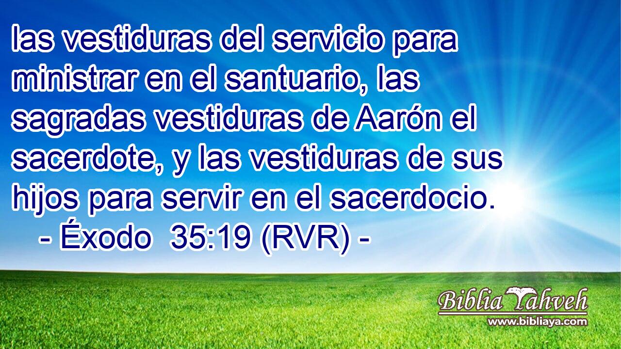 las vestiduras del servicio para ministrar en el santuario, las sagradas vestiduras de Aarón el sacerdote, y las vestiduras de sus hijos para servir en el sacerdocio.
