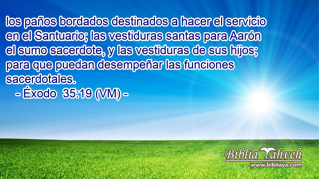  los paños bordados destinados a hacer el servicio en el Santuario; las vestiduras santas para Aarón el sumo sacerdote, y las vestiduras de sus hijos; para que puedan desempeñar las funciones sacerdotales. 