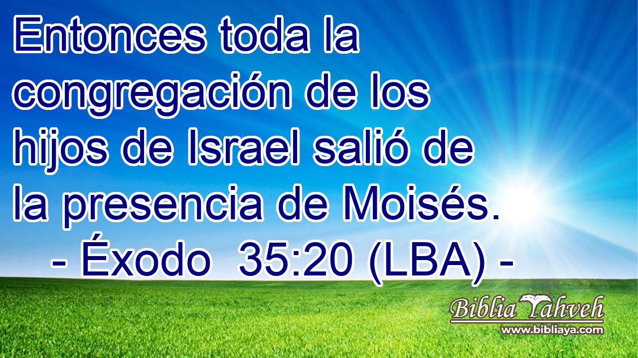 Entonces toda la congregación de los hijos de Israel salió de la presencia de Moisés.
