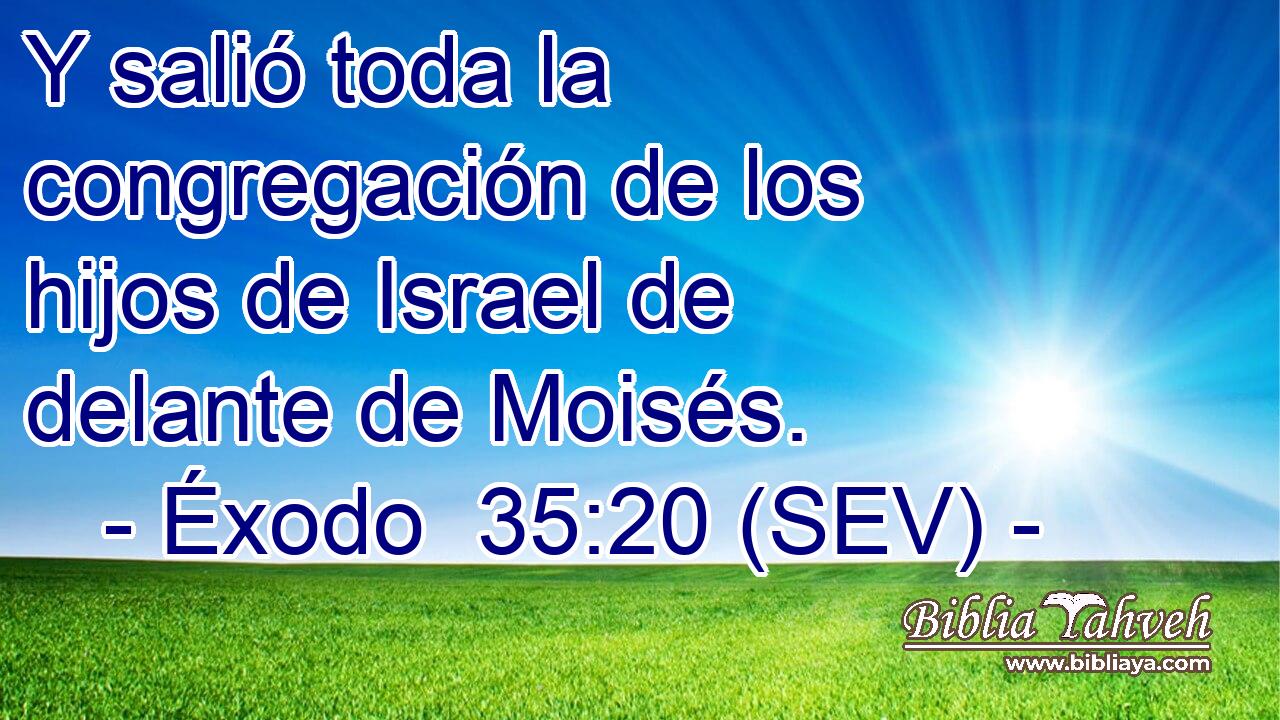 Y salió toda la congregación de los hijos de Israel de delante de Moisés.
