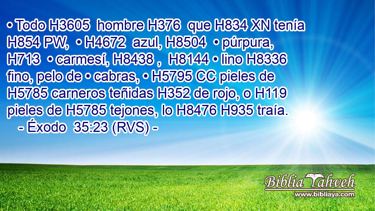 • Todo H3605  hombre H376  que H834 XN tenía H854 PW,  • H4672  azul, H8504  • púrpura, H713  • carmesí, H8438 ,  H8144 • lino H8336  fino, pelo de • cabras, • H5795 CC pieles de H5785 carneros teñidas H352 de rojo, o H119 pieles de H5785 tejones, lo H8476 H935 traía. 