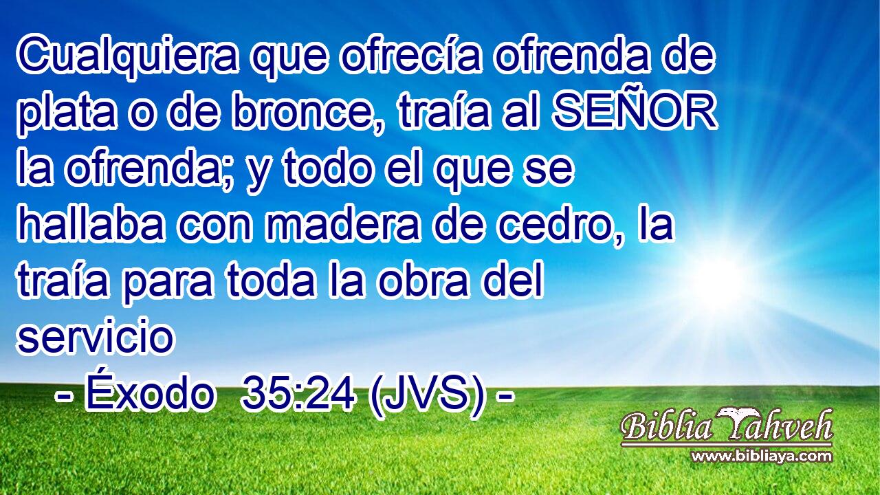 Cualquiera que ofrecía ofrenda de plata o de bronce, traía al SEÑOR la ofrenda; y todo el que se hallaba con madera de cedro, la traía para toda la obra del servicio