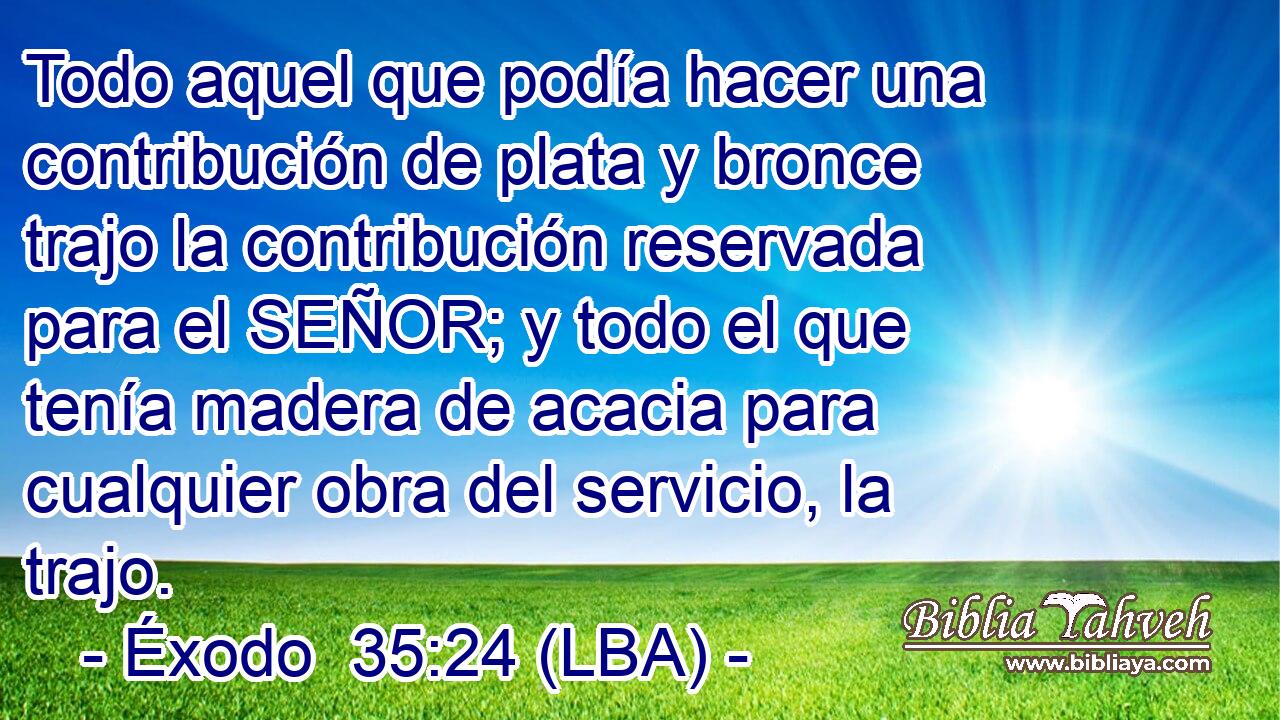 Todo aquel que podía hacer una contribución de plata y bronce trajo la contribución reservada para el SEÑOR; y todo el que tenía madera de acacia para cualquier obra del servicio, la trajo.